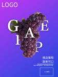 精品葡萄