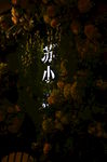 厦门风光