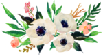 水彩鲜花