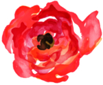 水彩鲜花