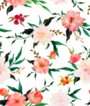 鲜花素材