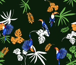 鹦鹉花草