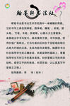 书法社团