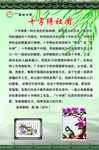 十字绣社团