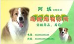 宠物名片 卡片 证卡 宠物诊所