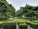 风景