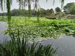 风景