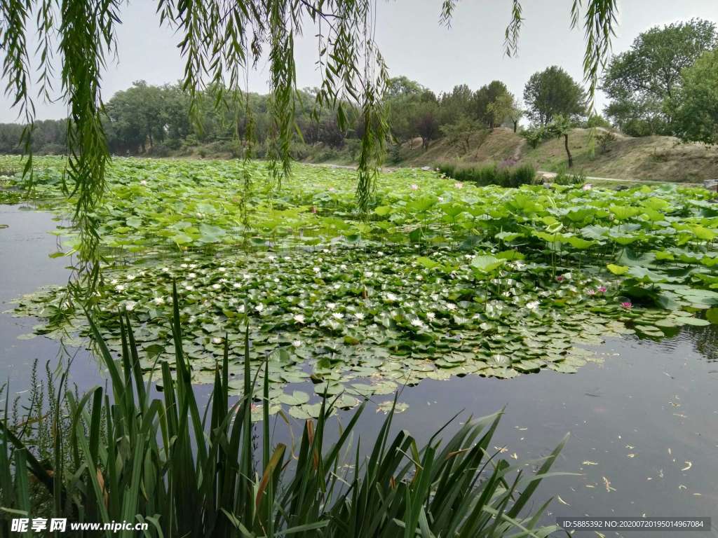 风景