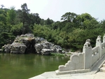 风景