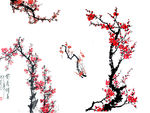 梅花