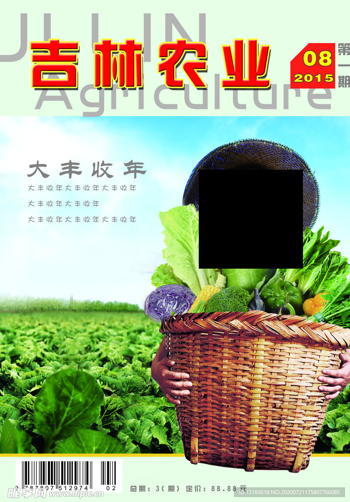 大丰收宣传海报报刊封面