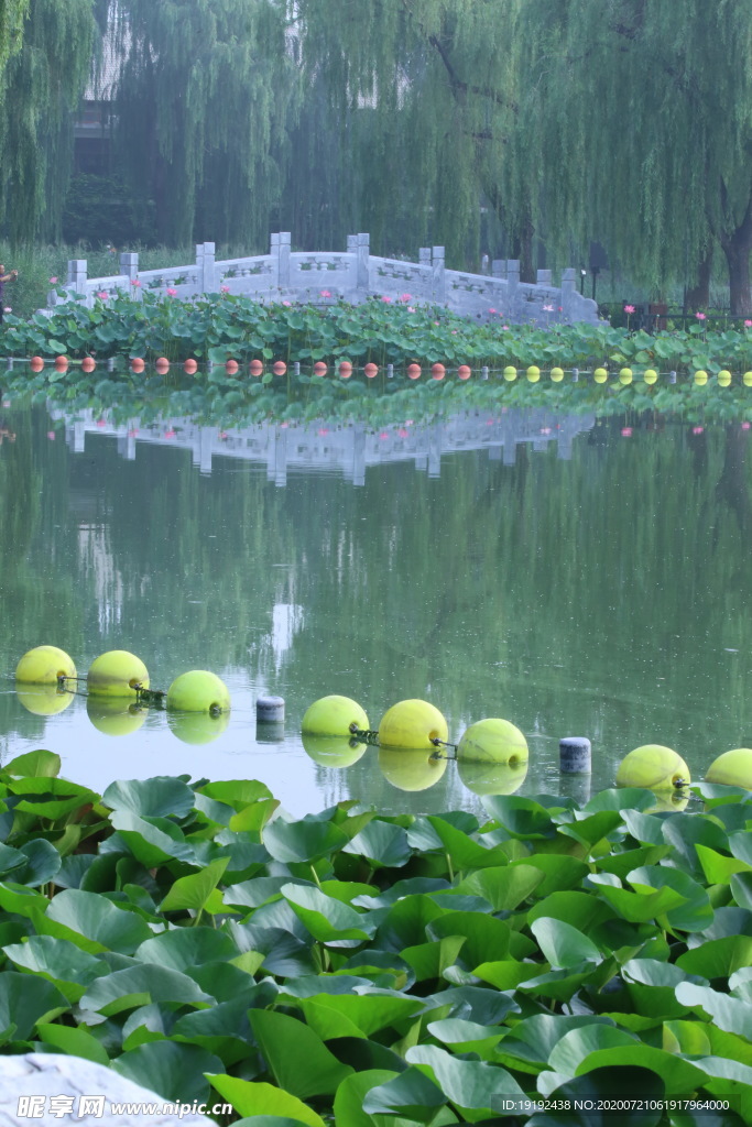 园林风景