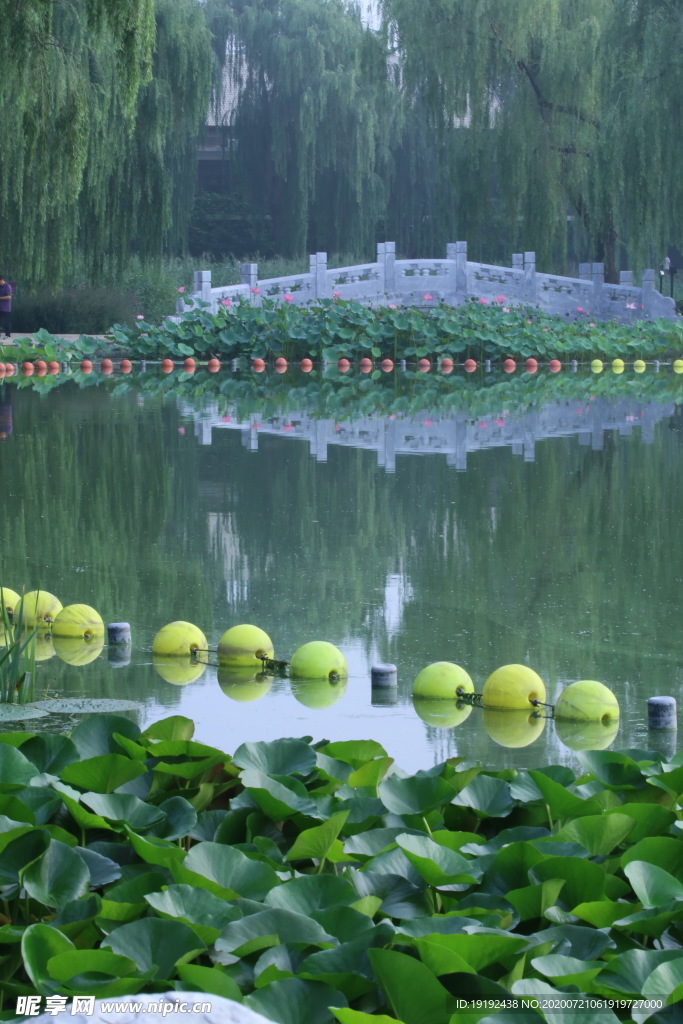 园林风景