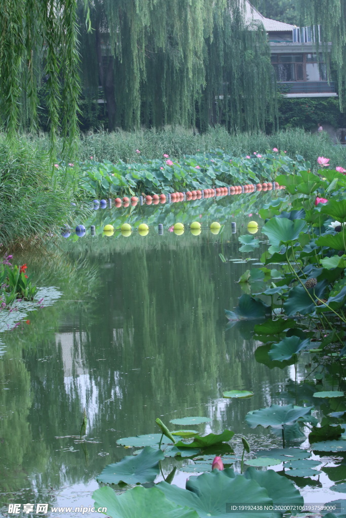 园林风景