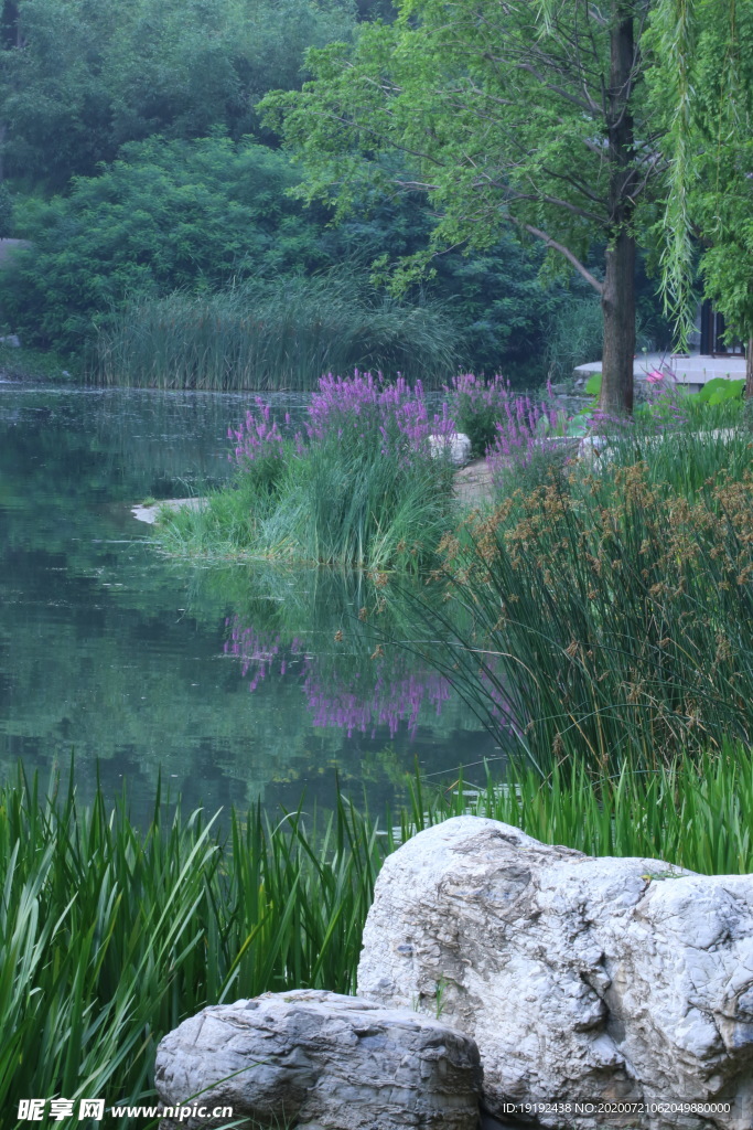 夏日风景