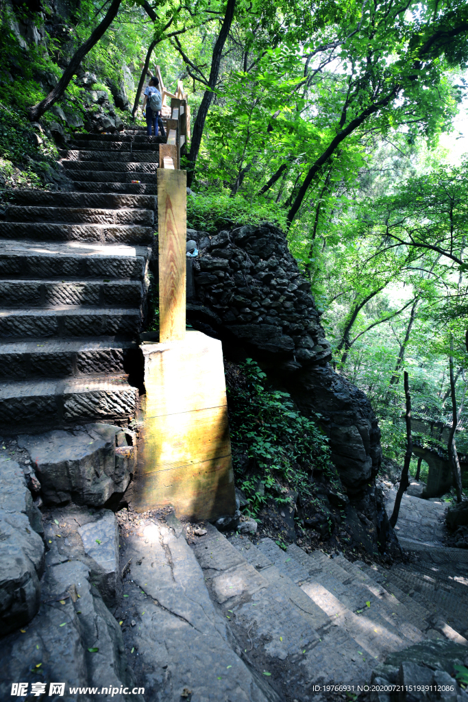 枣庄抱犊崮国家森林公园图片