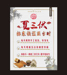 夏三伏排寒祛湿中医养生