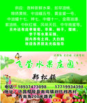 桃园名片