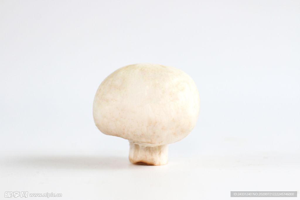 蘑菇菌类食物火锅食材小鸡炖蘑菇