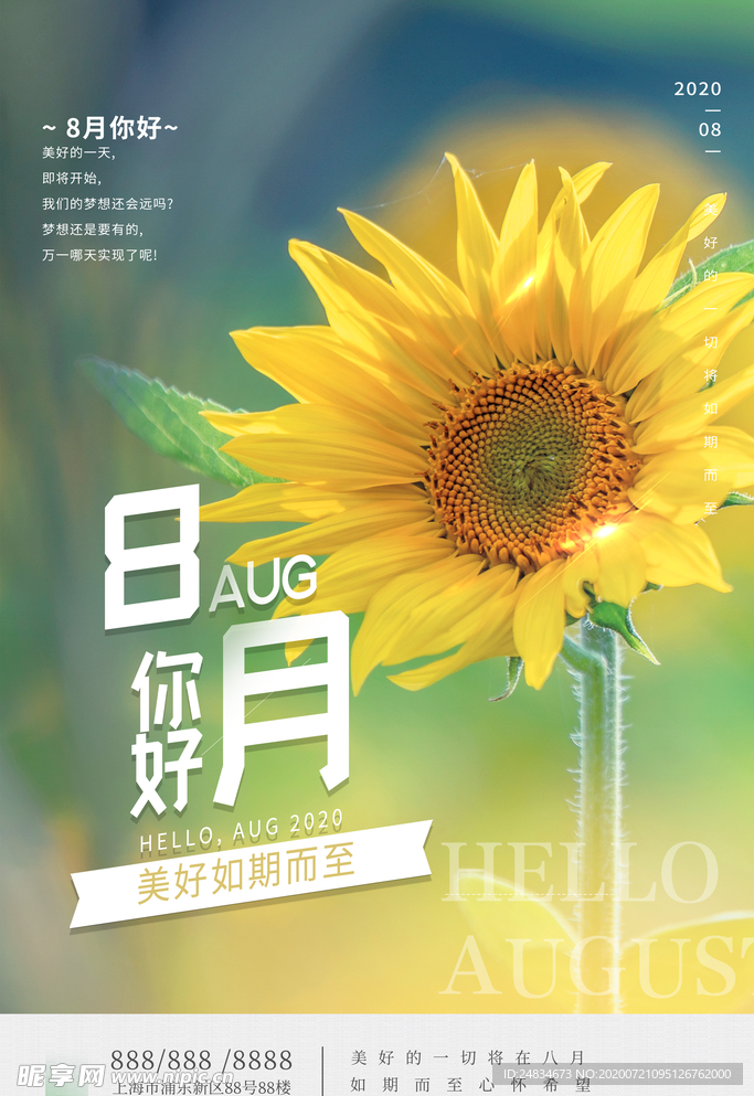 八月你好