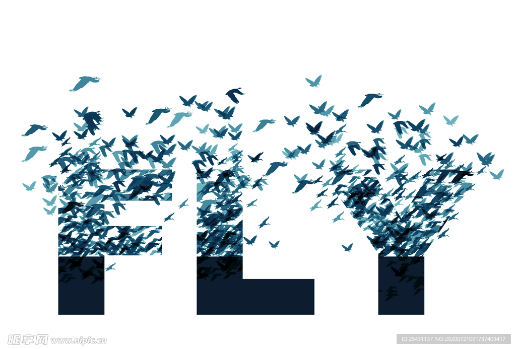 飞 FLY