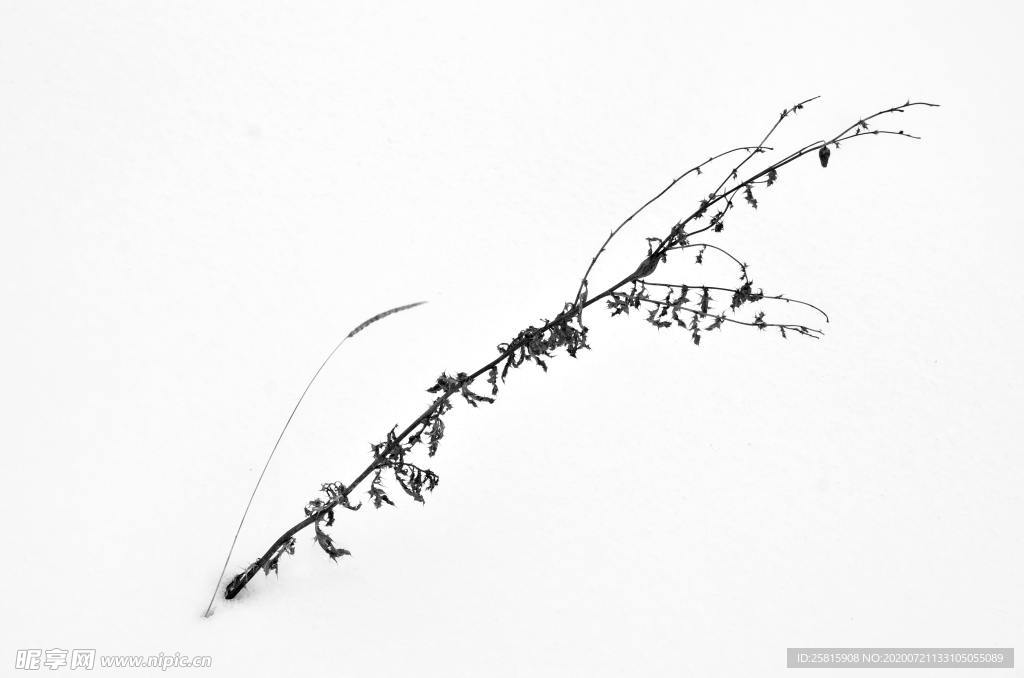 雪景
