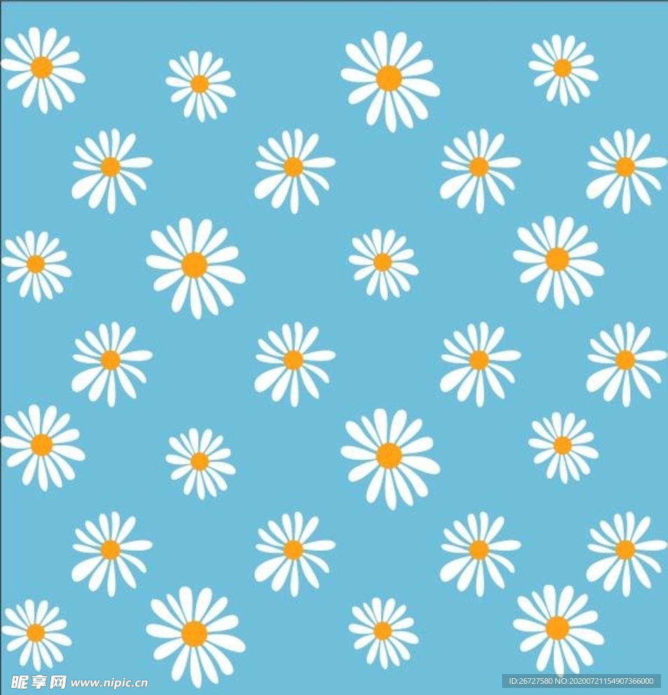 雏菊