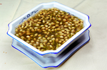 凤凰茉莉花