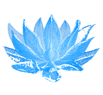 蓝色半透明水莲花朵效果元素