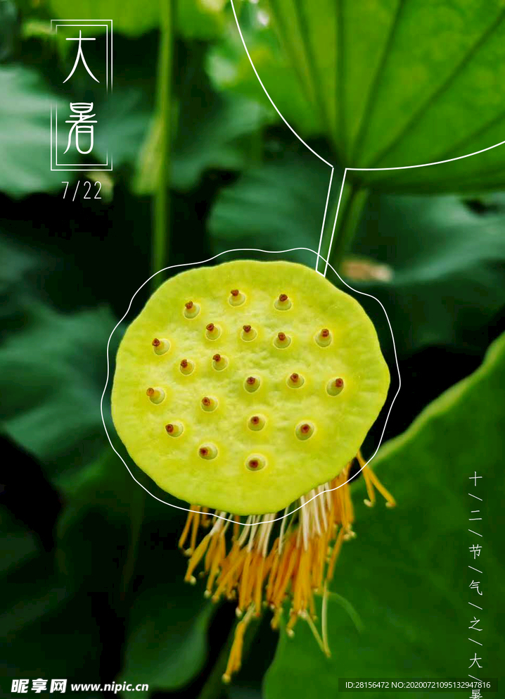 大暑