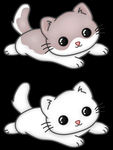 猫咪