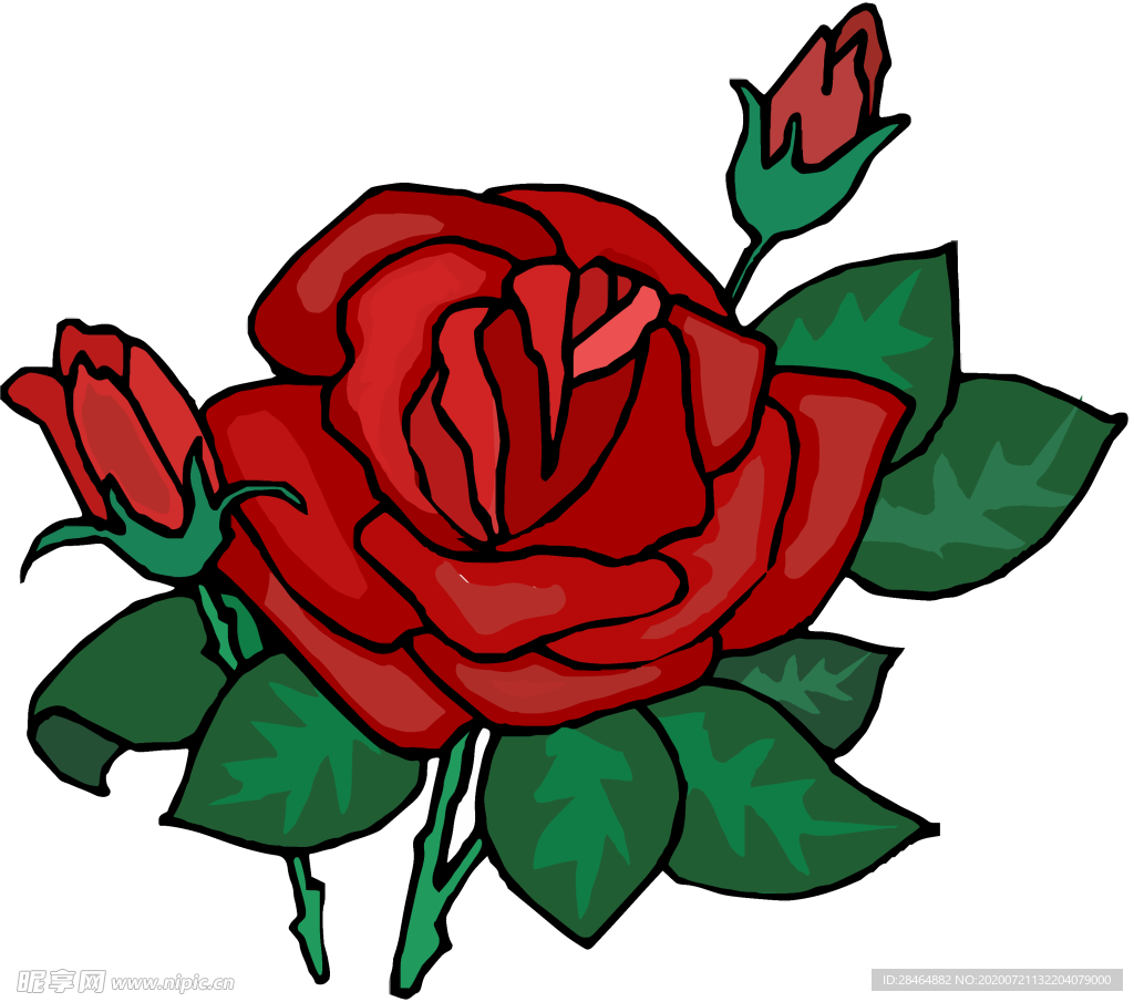 玫瑰花