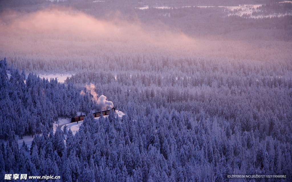 森林雪景