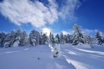 晴朗雪景