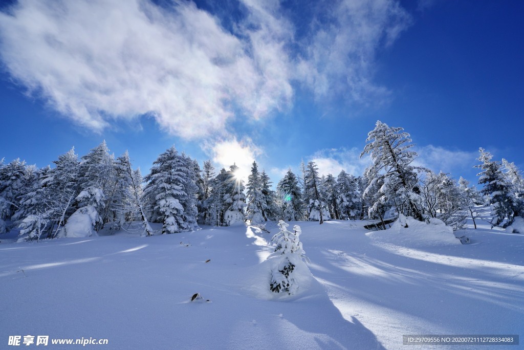 晴朗雪景