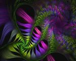 青苔花