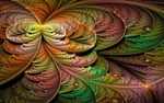 千层花