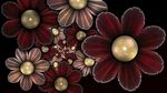 珍珠花