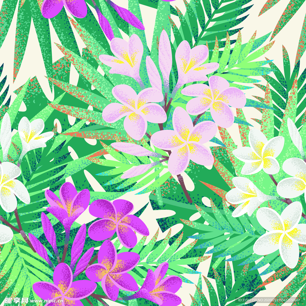 植物