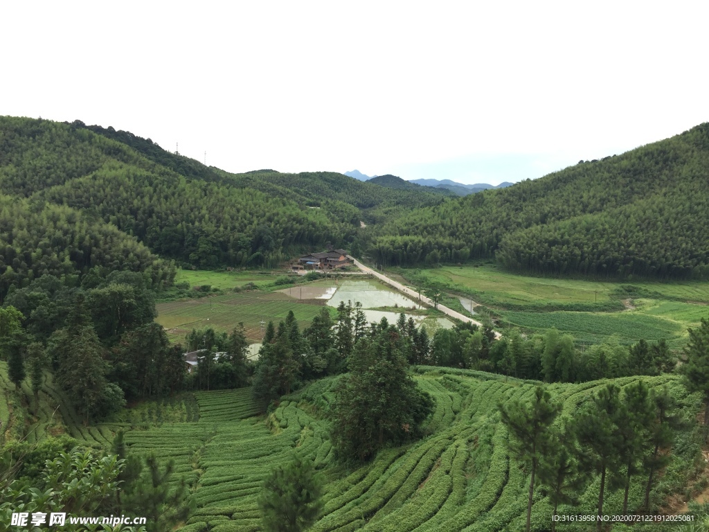 乡村景色