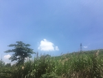 自然风光