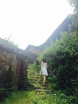 乡村小路
