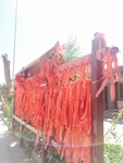 许愿条