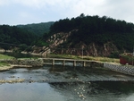 农村风光