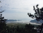 田园风光