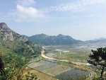 田园风光