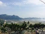 田园风光