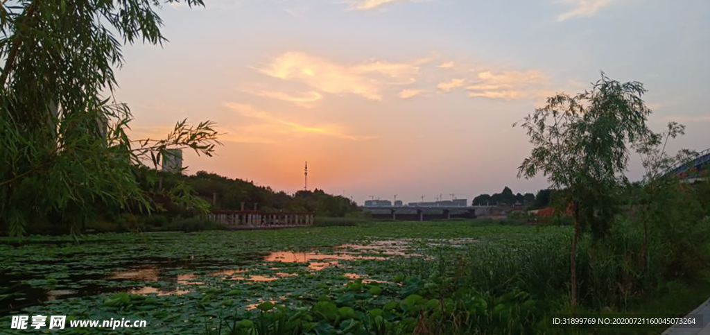 夕阳