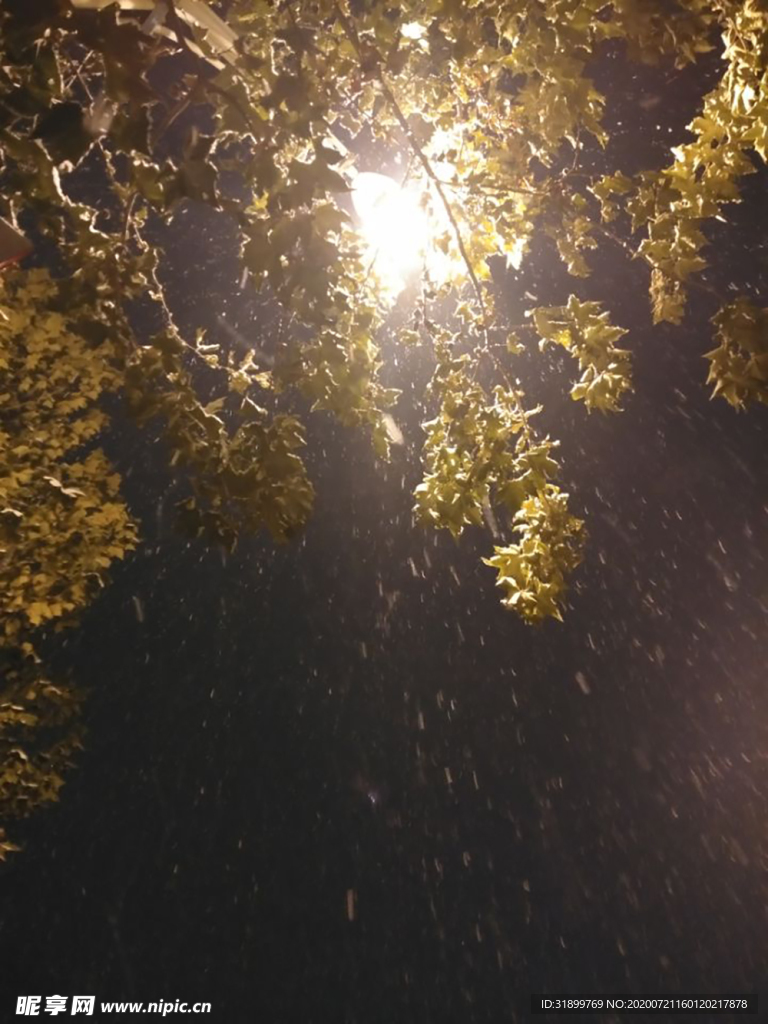 雪