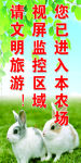 临时停车点